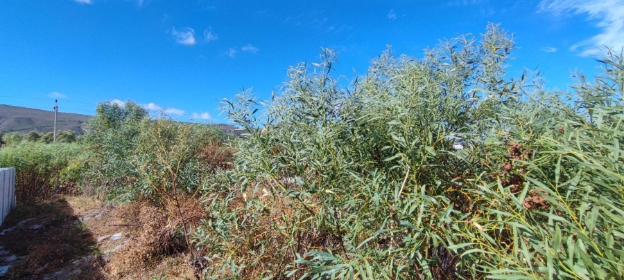 0 Bedroom Property for Sale in Franskraal Western Cape